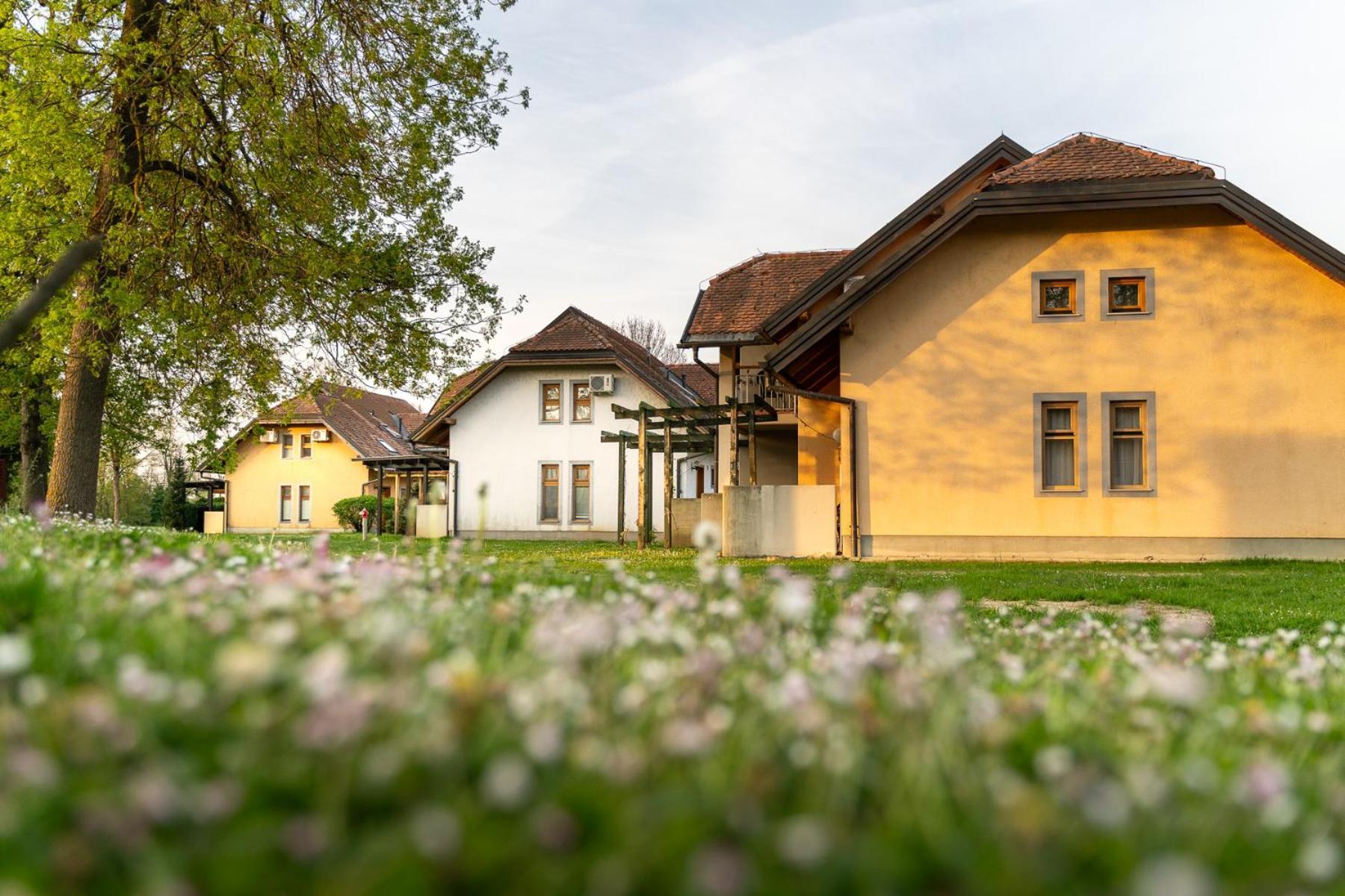 Terme Banovci - Hotelsko Naselje Zeleni Gaj 외부 사진